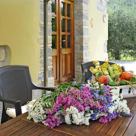 Luciana By Interhome Holiday home *